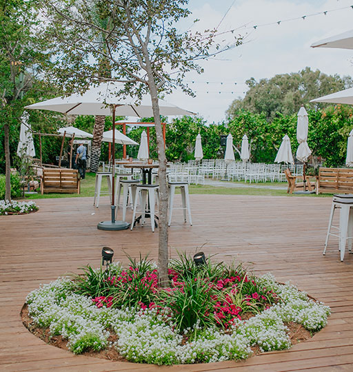 סיבוב במקום