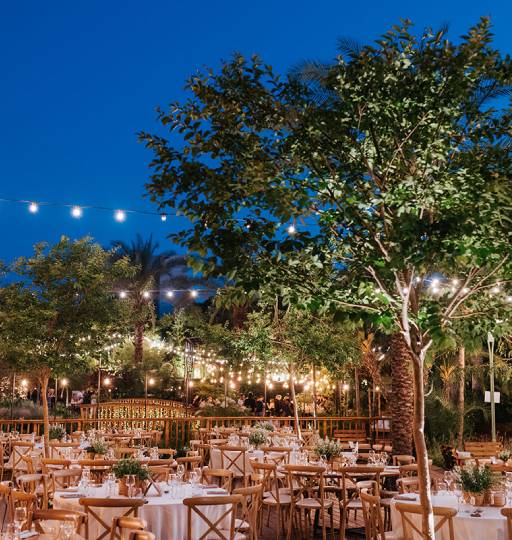 חתונה בגינה